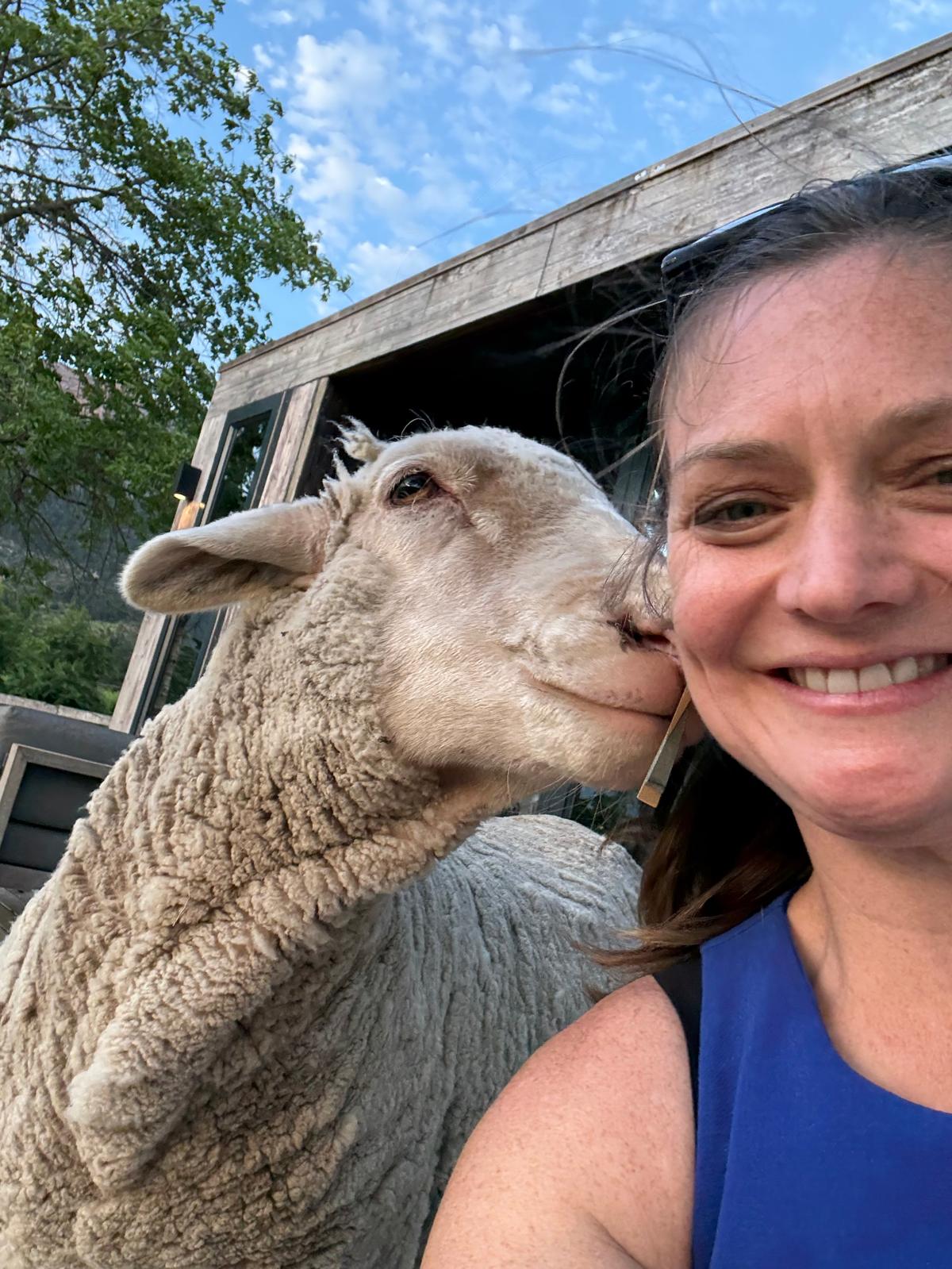 Andrea with sheep